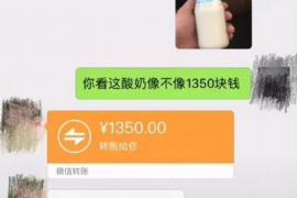 盘龙遇到恶意拖欠？专业追讨公司帮您解决烦恼